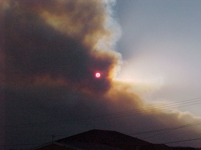 As the impending evening draws near the sky was filled with thick smoke from all the bush fires raging around Sydney.