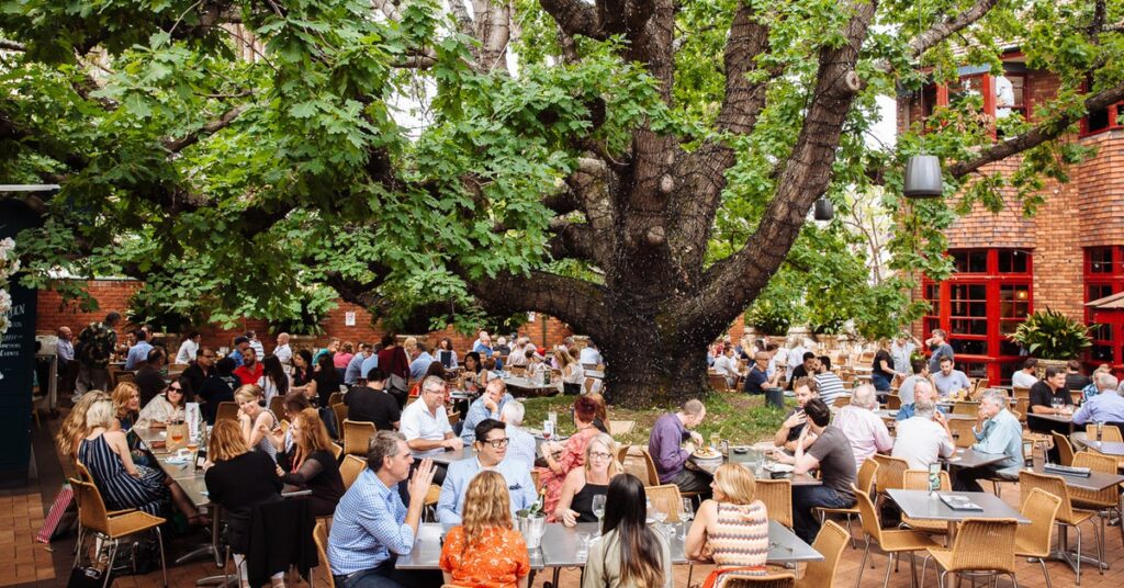 A picture of a tree at the Oak Hotel pub and people sitting